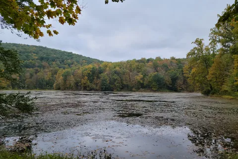 Jenny Jump State Forest