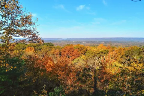 Jenny Jump State Forest