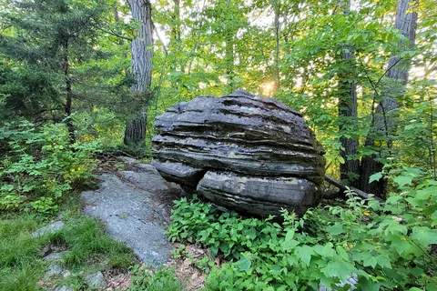 Jenny Jump State Forest