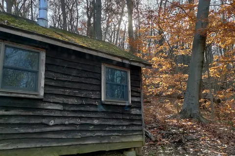 Jenny Jump State Forest