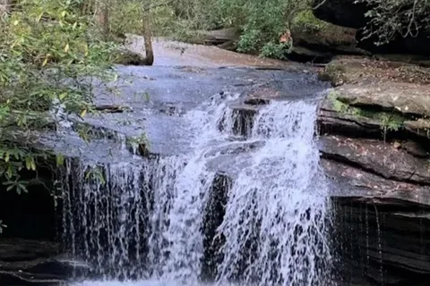 White Oak - Table Rock State Park