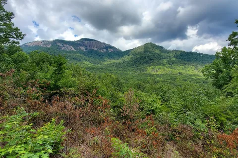 White Oak - Table Rock State Park