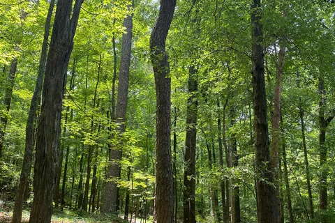 Red Top Mountain State Park