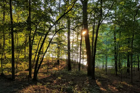 Red Top Mountain State Park