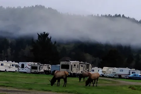Chinook Bend RV Resort