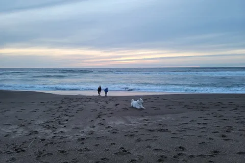 Sea and Sand RV Park