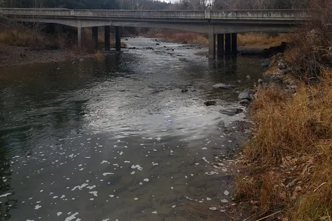 Hilgard Junction State Park