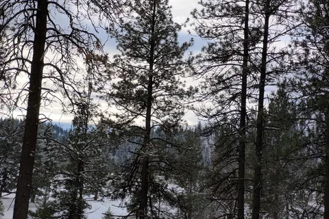 Hilgard Junction State Park