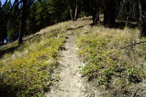 Johnstone Creek Provincial Park