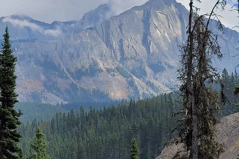 Johnstone Creek Provincial Park