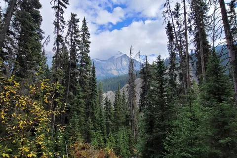Johnstone Creek Provincial Park