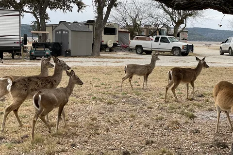 Lake Medina RV Resort