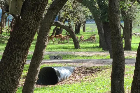 Lake Medina RV Resort