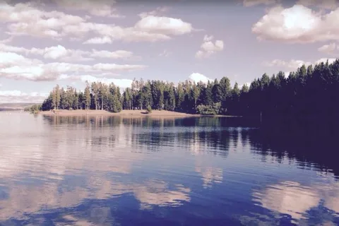 Madison Arm Resort