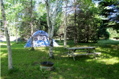 Camping Luciole