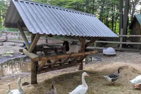 Camping D'Aoust