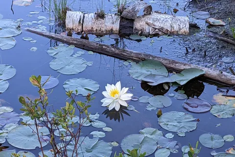 Parc provincial Lac Grundy