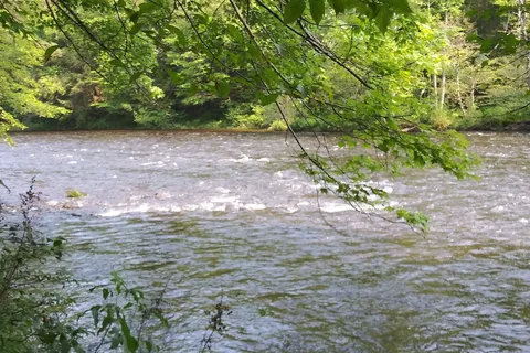 Stoney's Pineville Campground