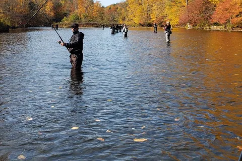 Stoney's Pineville Campground