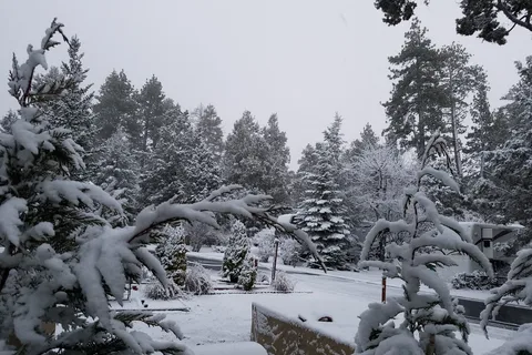 Big Bear Shores RV Resort