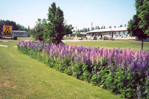 Cavendish KOA Holiday