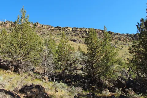 Deschutes Campground - Cove Palisades State Park