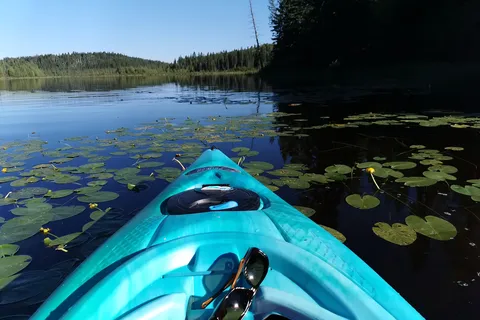 Phyllis Lake Provincial Recreational Area