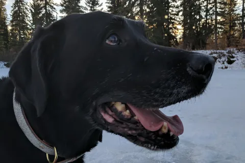 Phyllis Lake Provincial Recreational Area