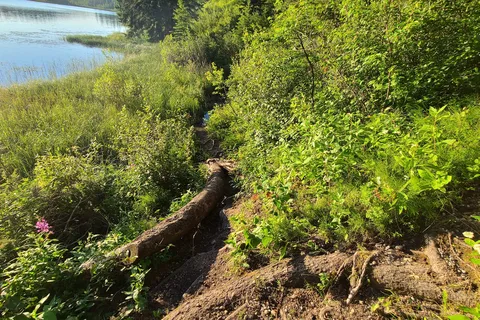Phyllis Lake Provincial Recreational Area