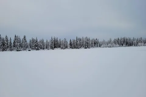 Phyllis Lake Provincial Recreational Area