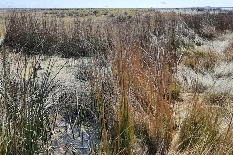 Russell Lakes State Wildlife Area