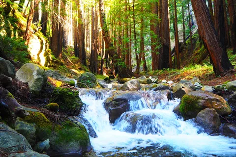 Limekiln State Park