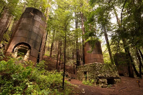 Limekiln State Park