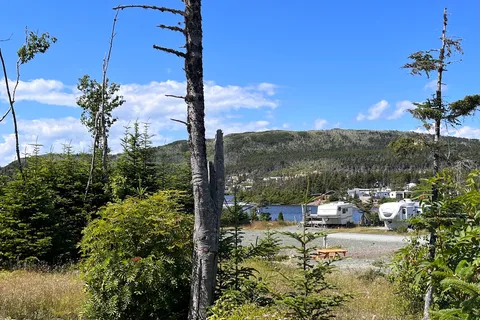 Marine Park Jellystone
