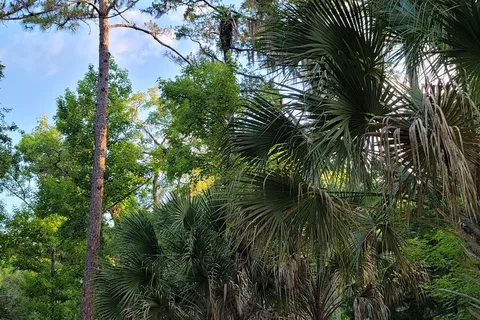 Sugar Mill Ruins Travel Park