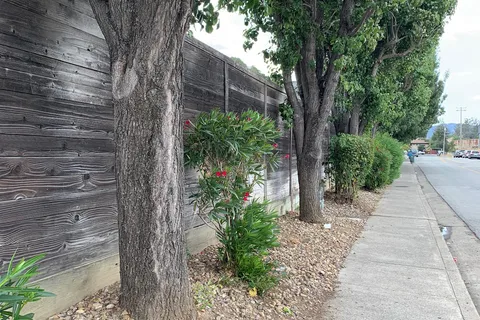 Novato RV Park