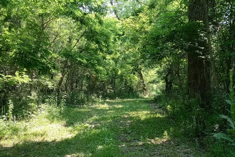 Wilson Island State Recreation Area