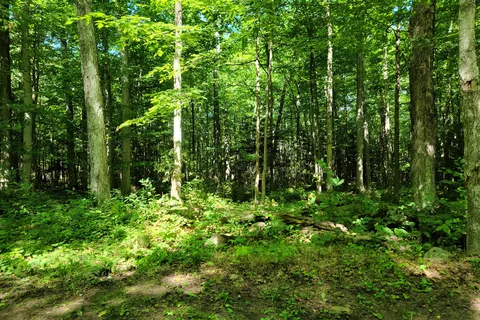 Sibbald Point Provincial Park