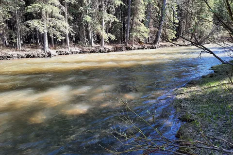 Dutch Creek Recreational Area