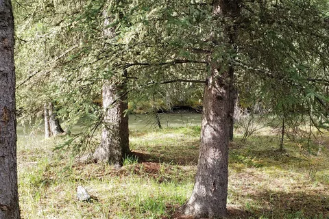 Dutch Creek Recreational Area