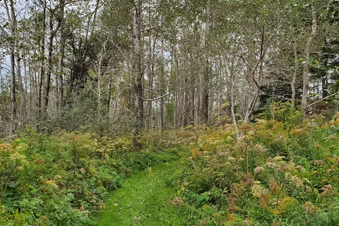 Battery Provincial Park