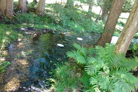 Amazing Rocky Park Campground