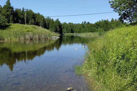 Amazing Rocky Park Campground