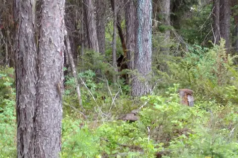 Glacier Haven RV and Campground