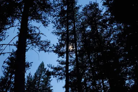 Glacier Haven RV and Campground