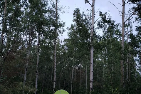 Sherk's RV Park
