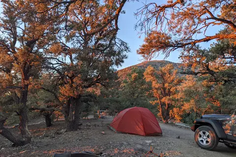 Mahogany Flat - Death Valley National Park