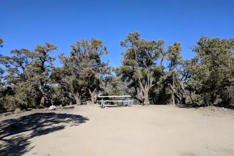 Mahogany Flat - Death Valley National Park