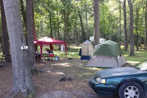 South Forty Camp Resort