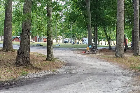 South Forty Camp Resort